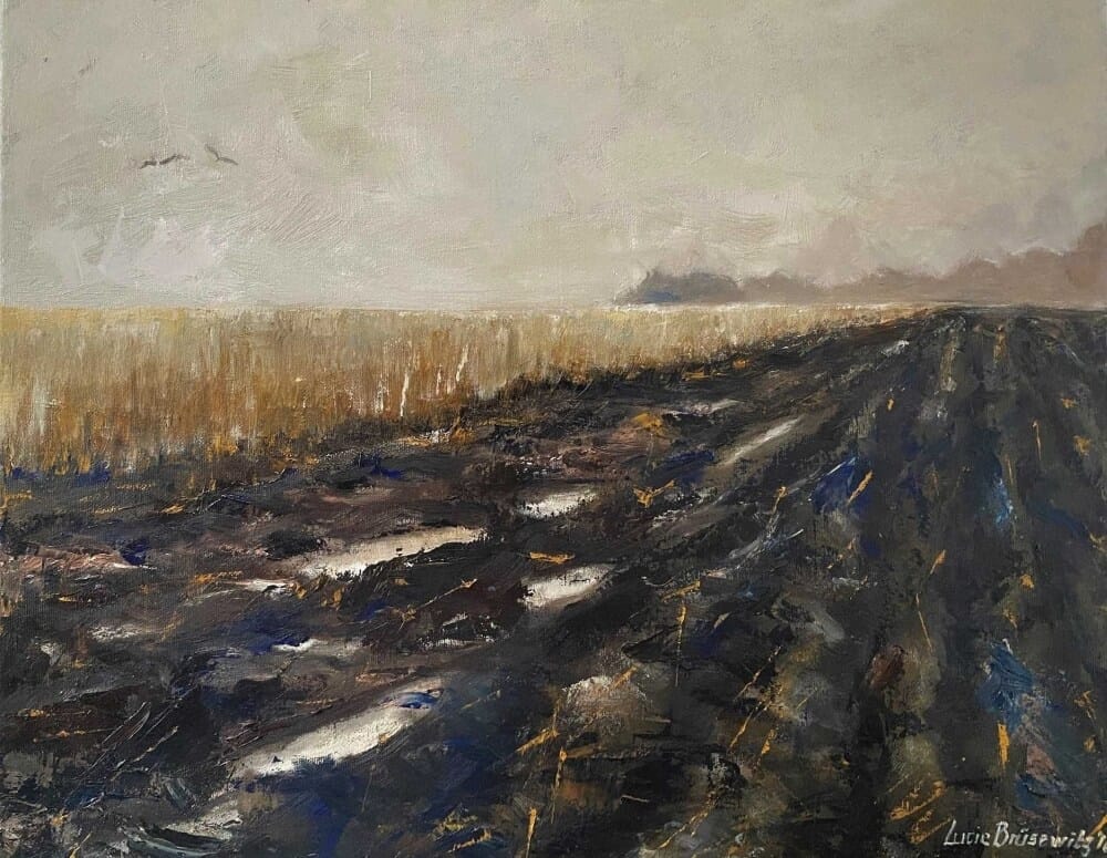 Akkerland 2016, 40 x 50 cm. Olieverf op doek